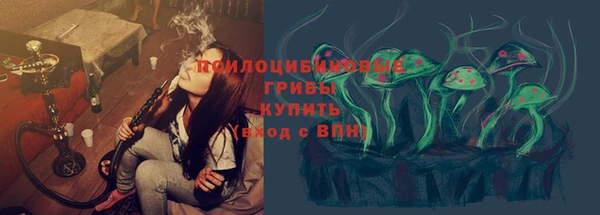 СК Аркадак