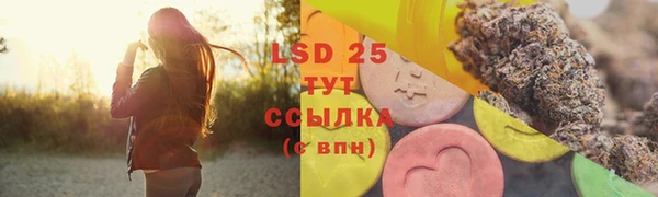 СК Аркадак