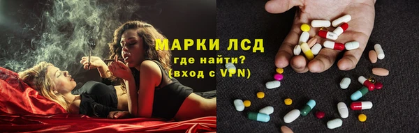 СК Аркадак