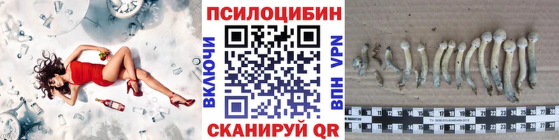 продажа наркотиков  Острогожск  Галлюциногенные грибы Psilocybe 
